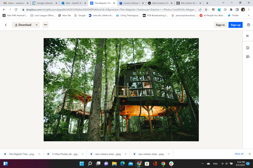 the majestic treehouse