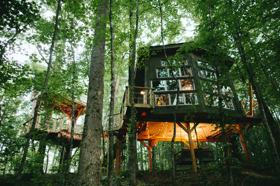 the majestic treehouse the majestic treehouse