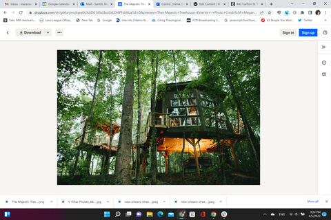 the majestic treehouse