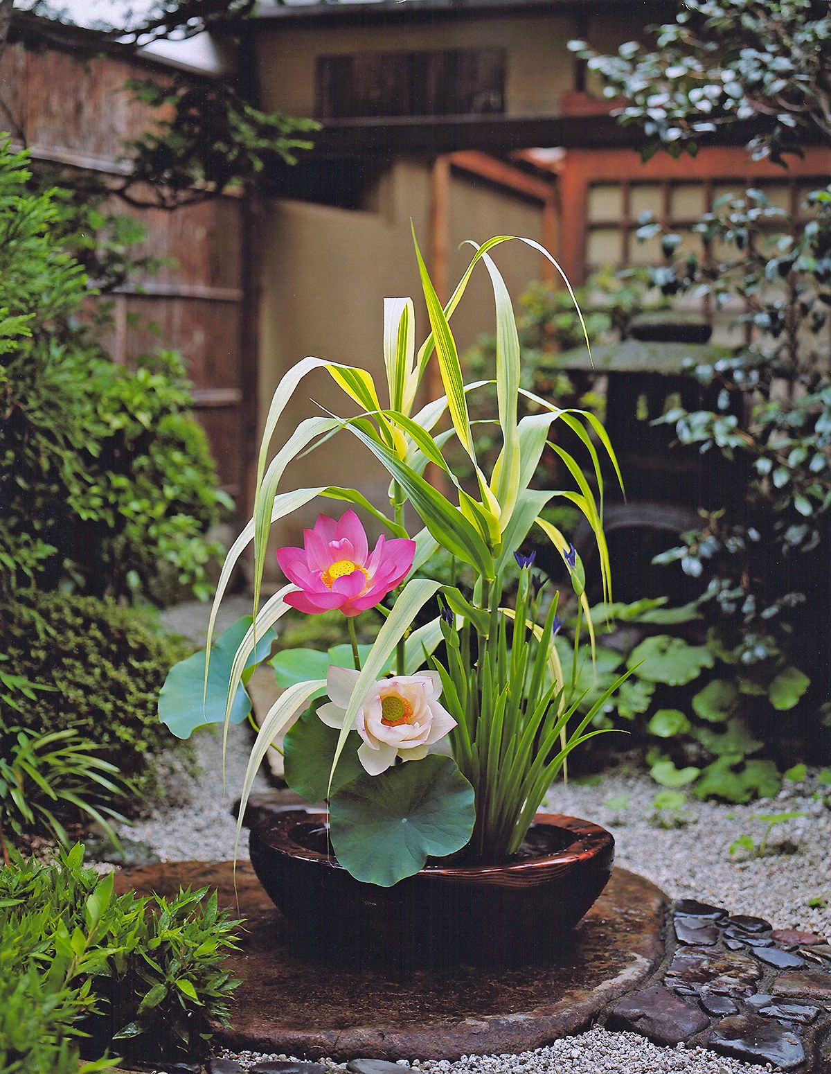 8月 家元のいけばな 気高く花開く「蓮（ハス）」【生け花、いけばな、生花、華道】