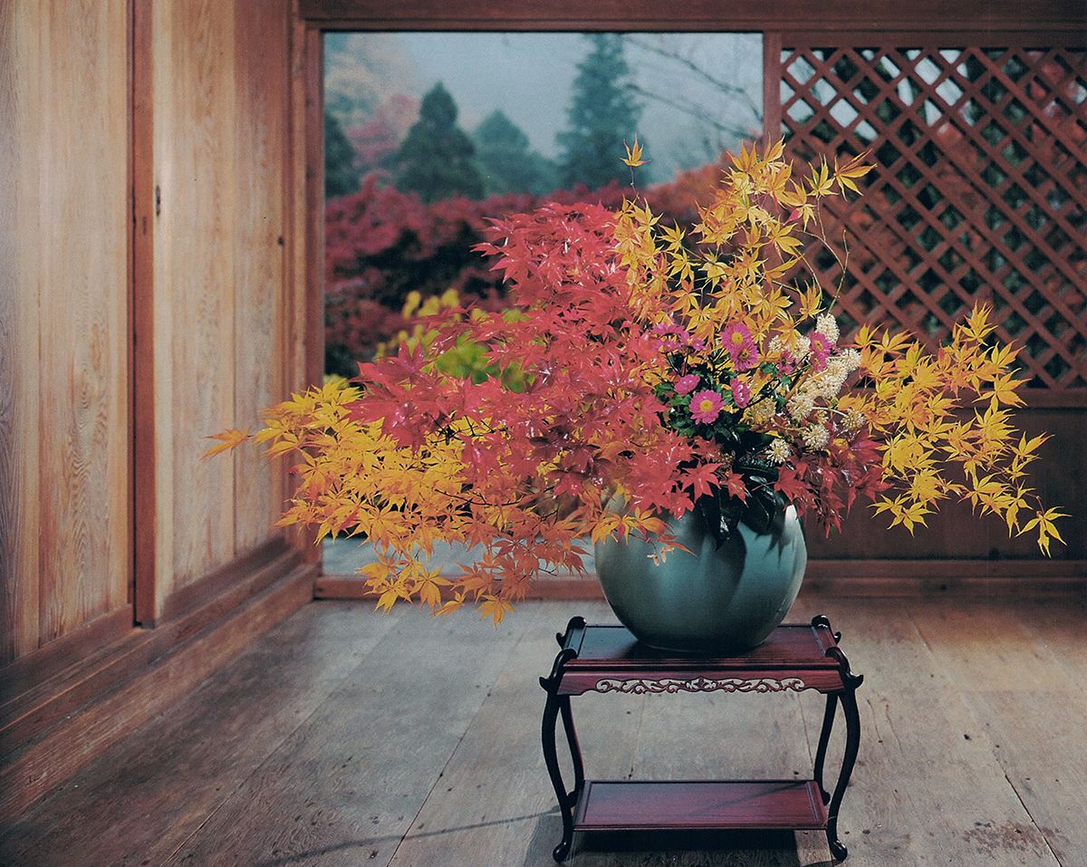 一種生け 花器 池坊 花展 菊 古典-