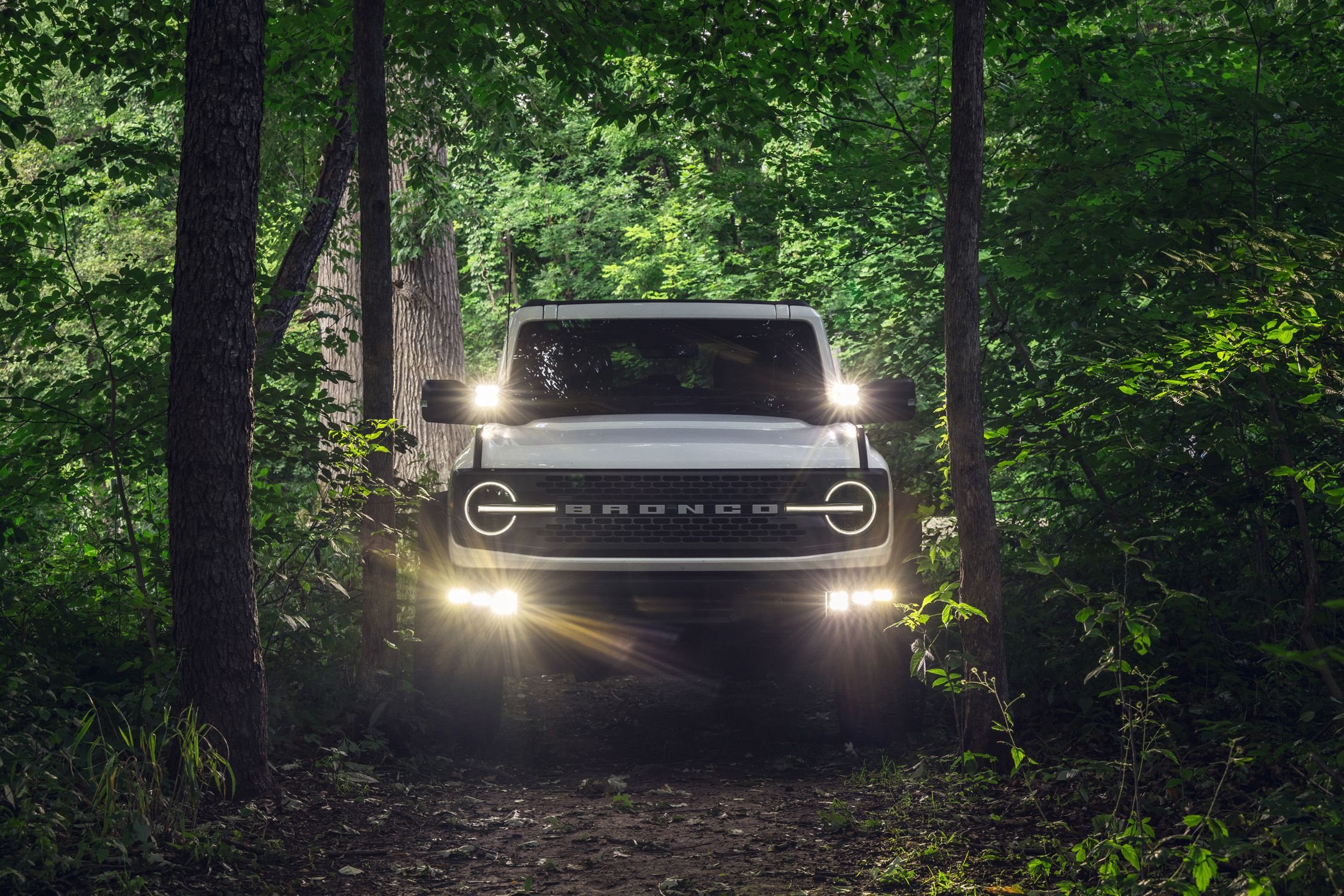 2023 Ford Bronco Badlands Fleet SUV