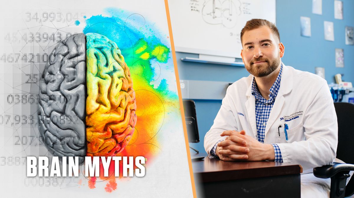 neuroscience brain myths