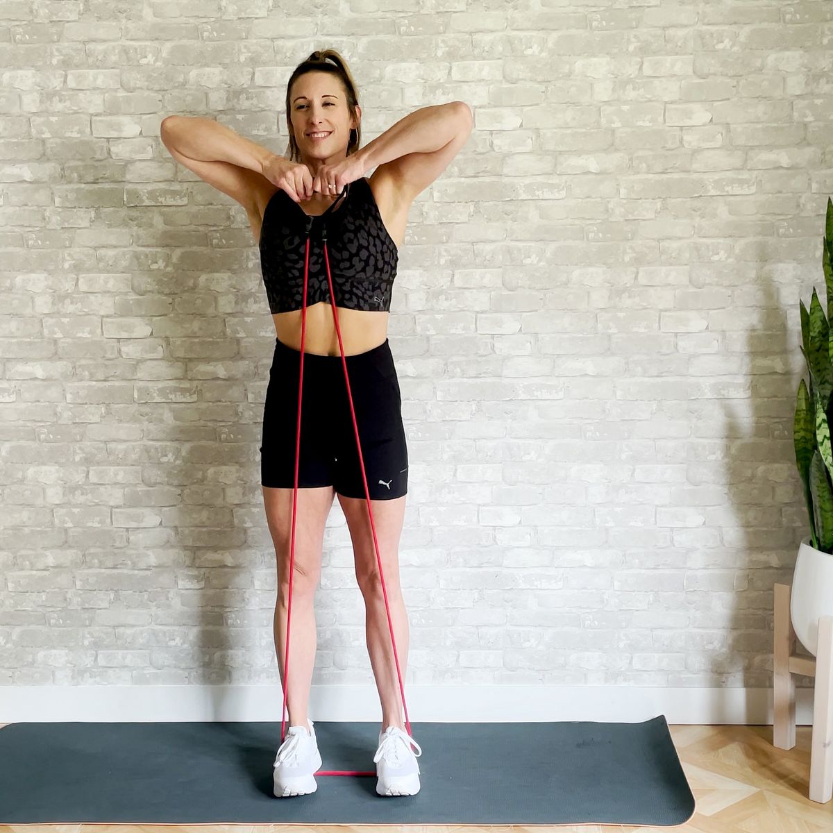 24 Mini Band Exercises - Chest, Back, Shoulders, Arms, Core