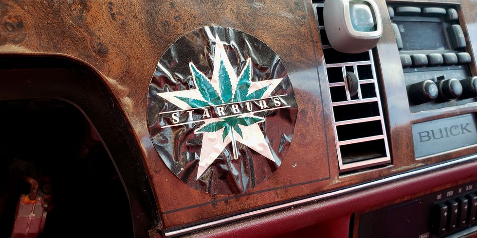 cannabis dispensary sticker in junkyard buick
