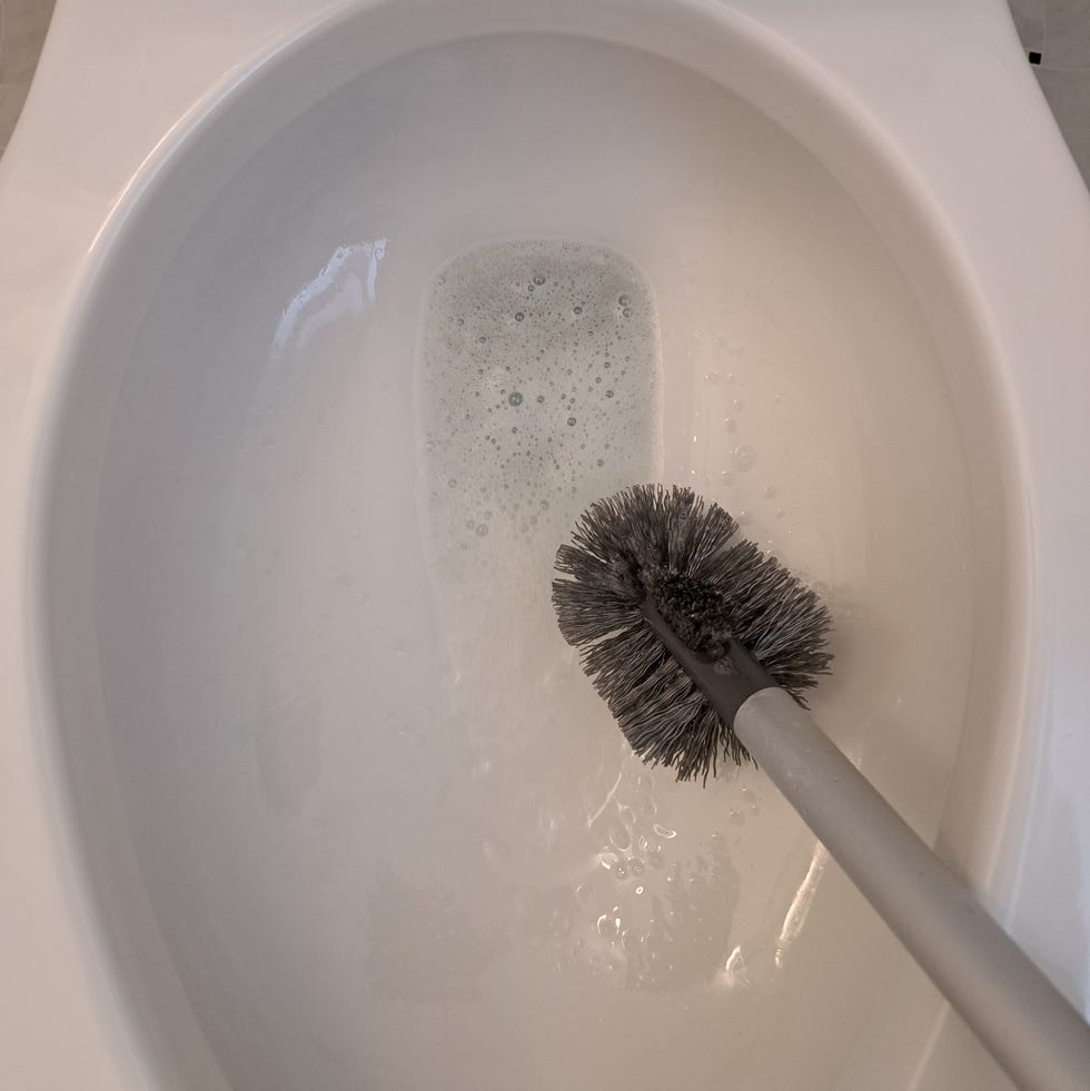 The 2 Best Toilet Brushes of 2024