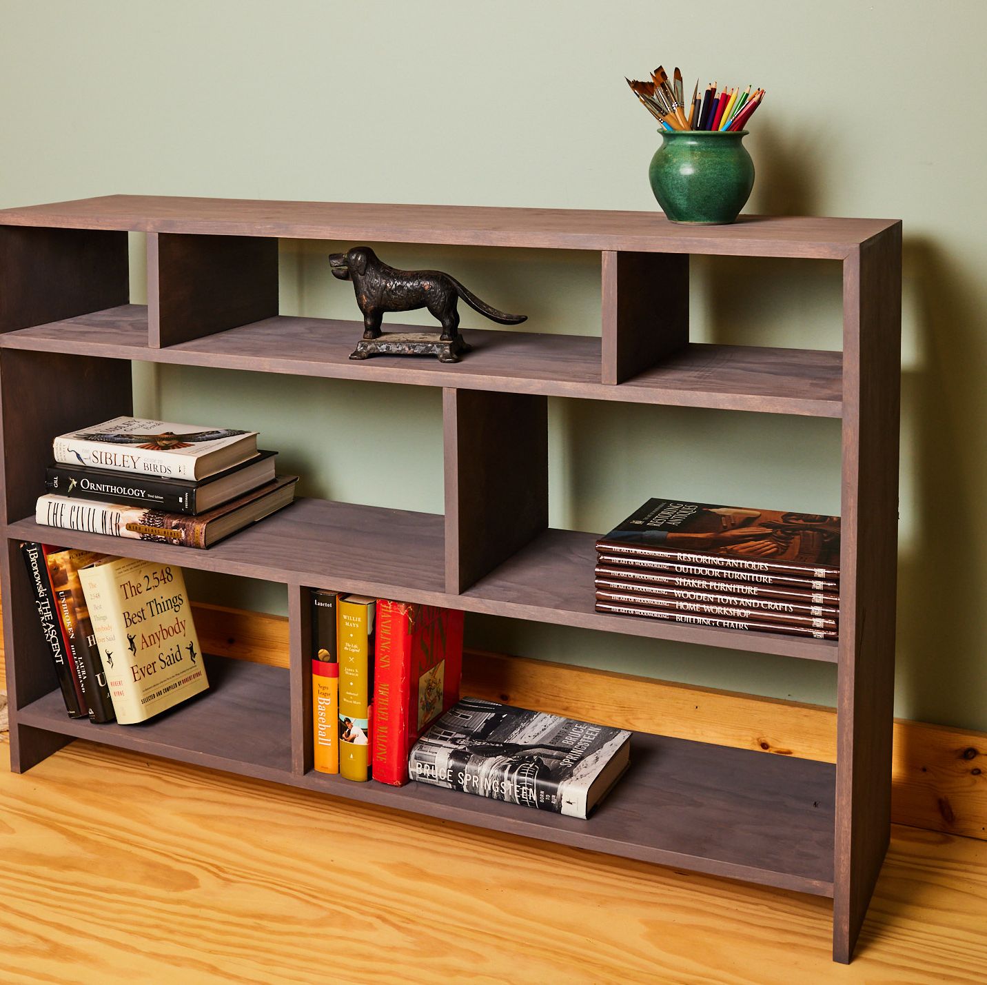Build This Great DIY Bookshelf With a Track Saw