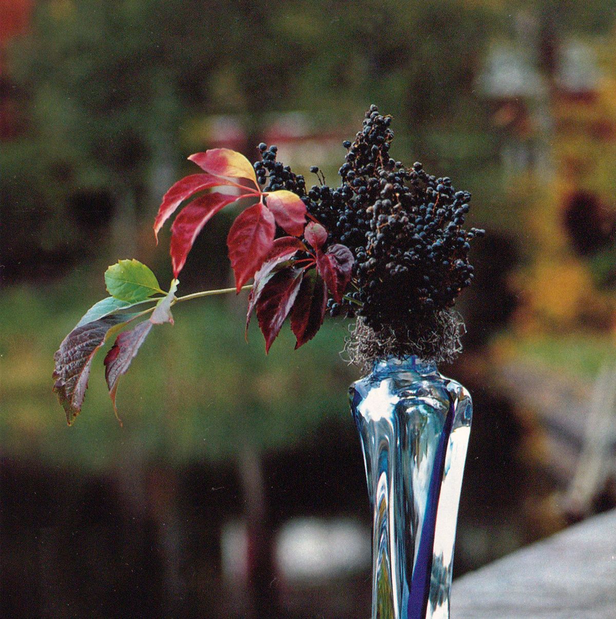 10月 家元のいけばな スウェーデン・ガラスの王国花紀行