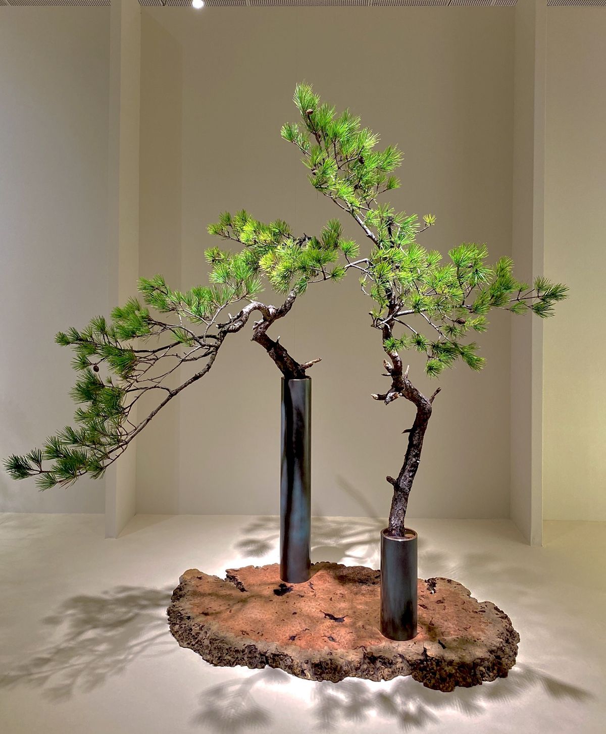 11月 家元のいけばな 煎茶の花趣向