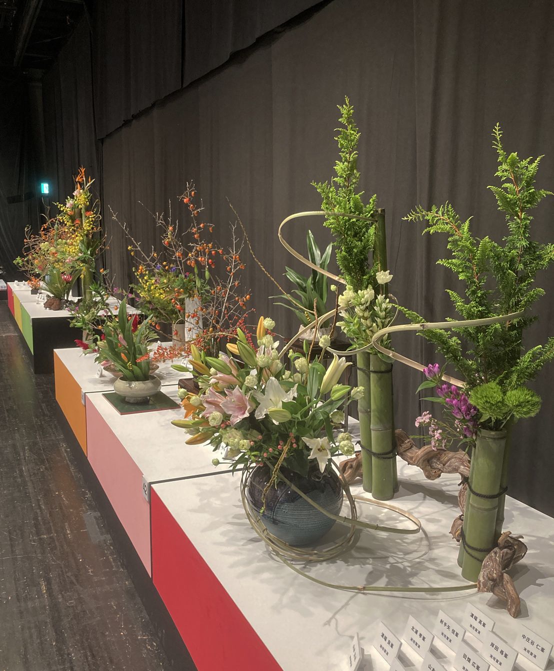 Amazon.co.jp: 煎茶の花: 文人華・盛物一九○瓶 : 主婦の友社: 本