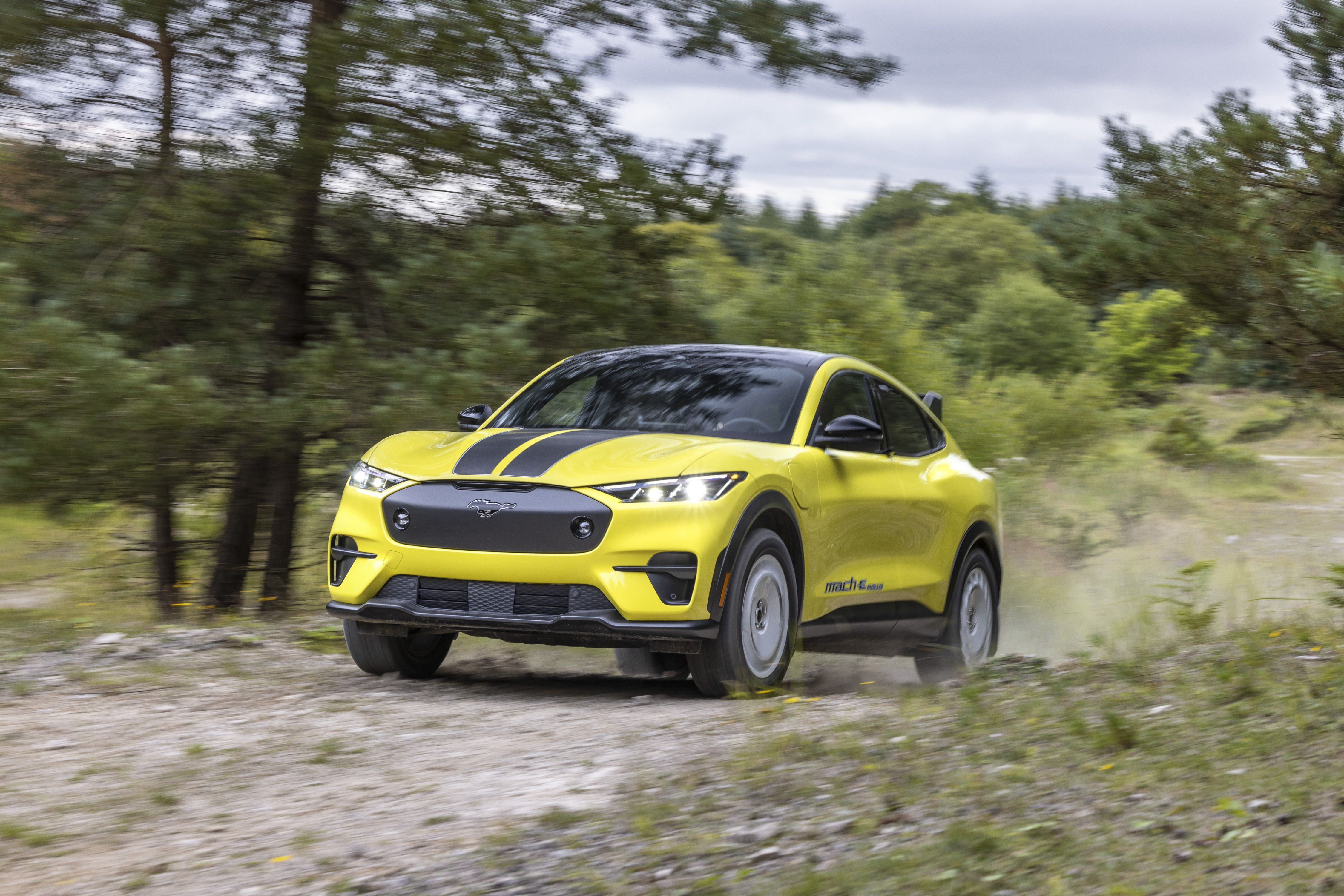 Ford Puma: opinión y precios - Carnovo