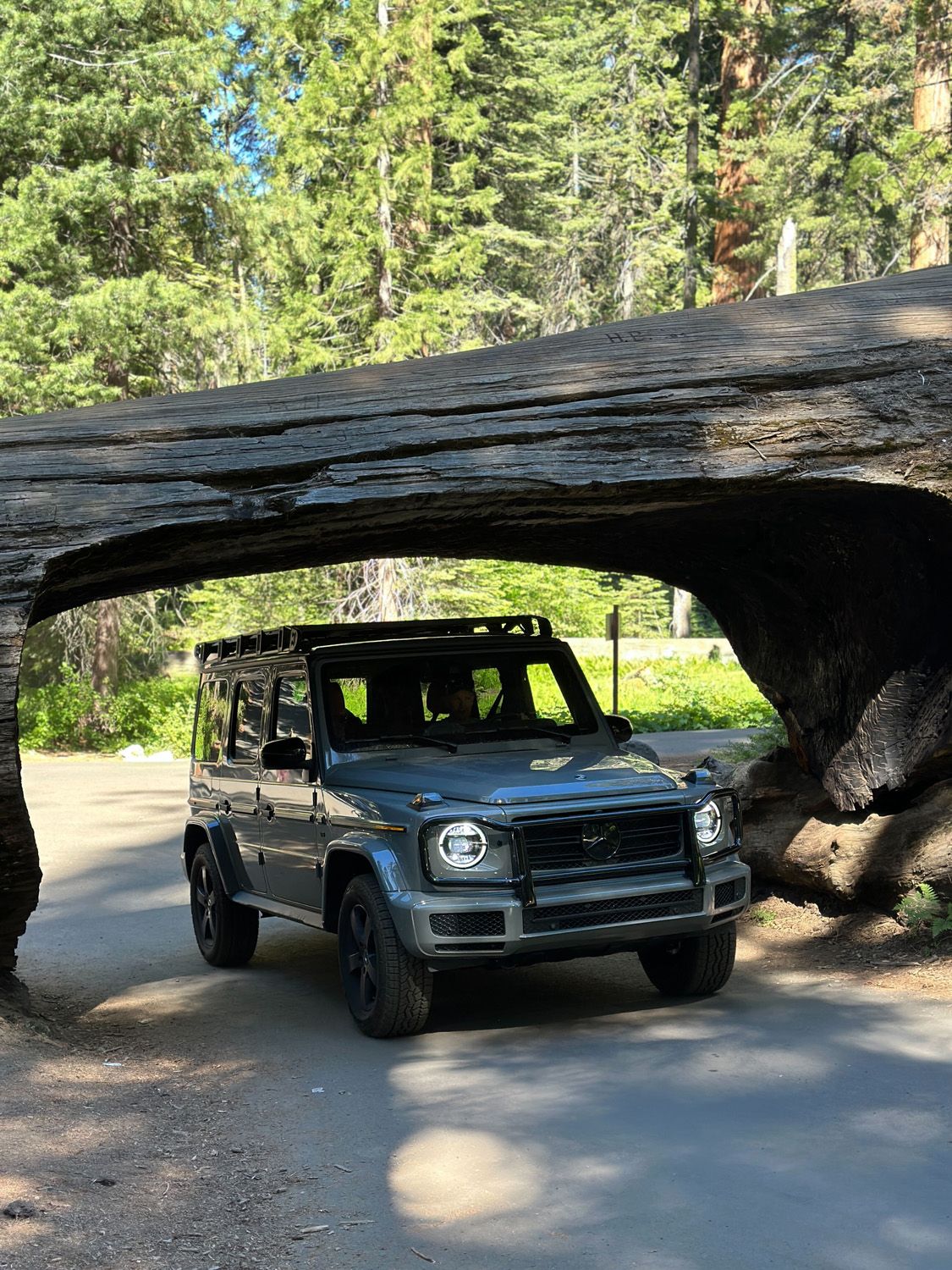 Triple black g clearance wagon