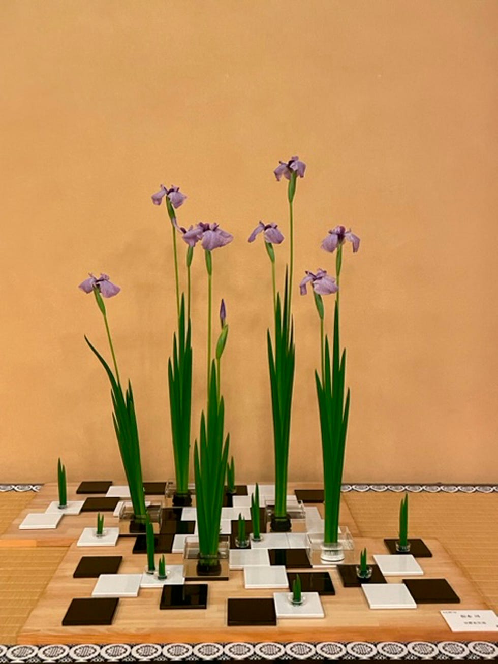 池坊　吊りスタンド　吊り金具　花展 吊り花いけ台 黒色 池坊