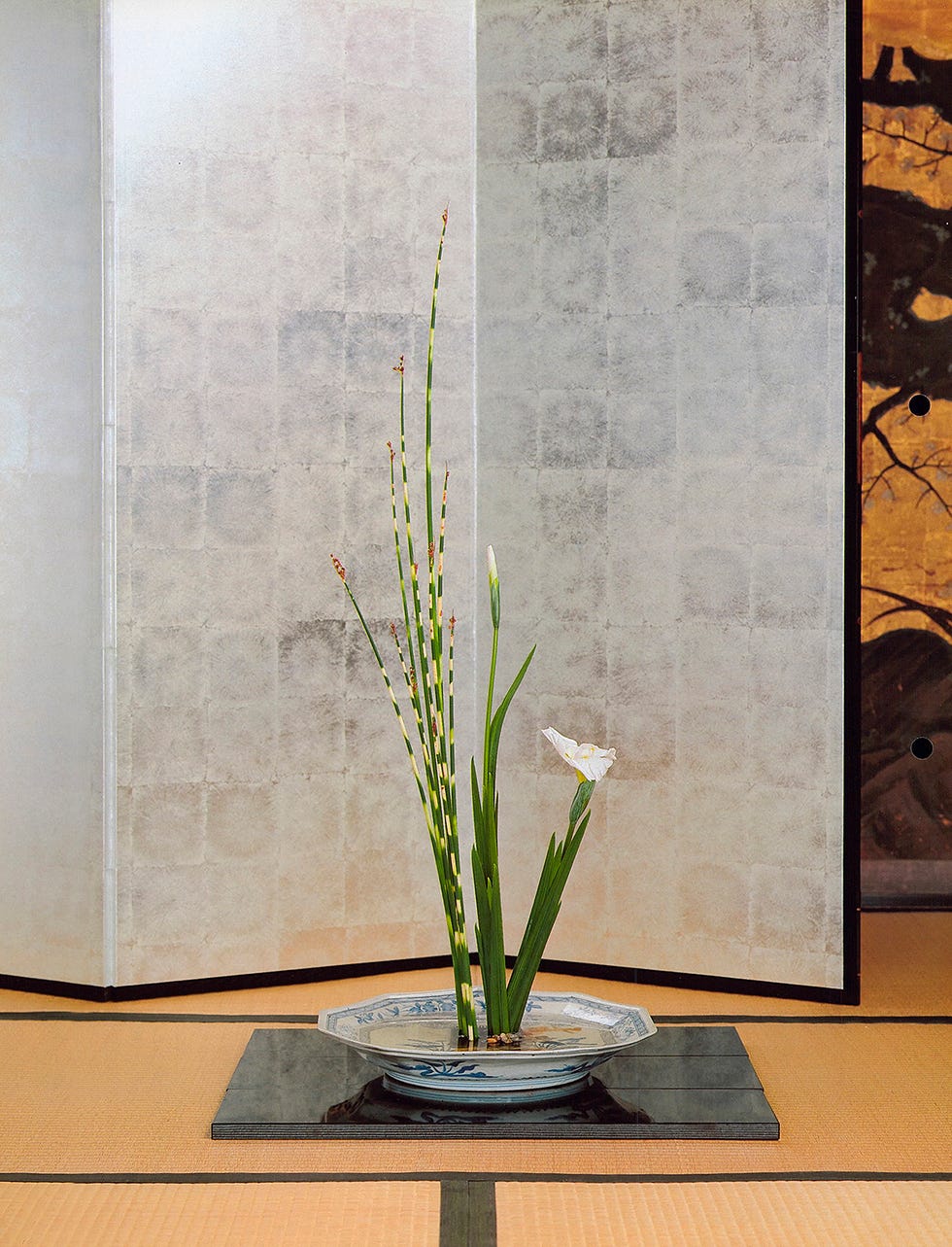 7月 家元のいけばな「古流生花（せいか）誌上花展 江戸の粋を競う」