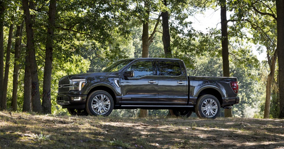 2024 ford f 150 platinum
