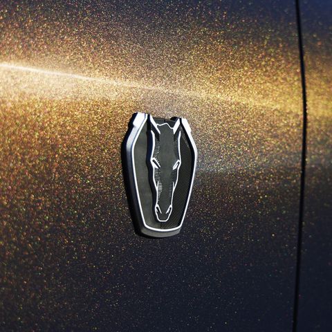 2024 ford mustang dark horse