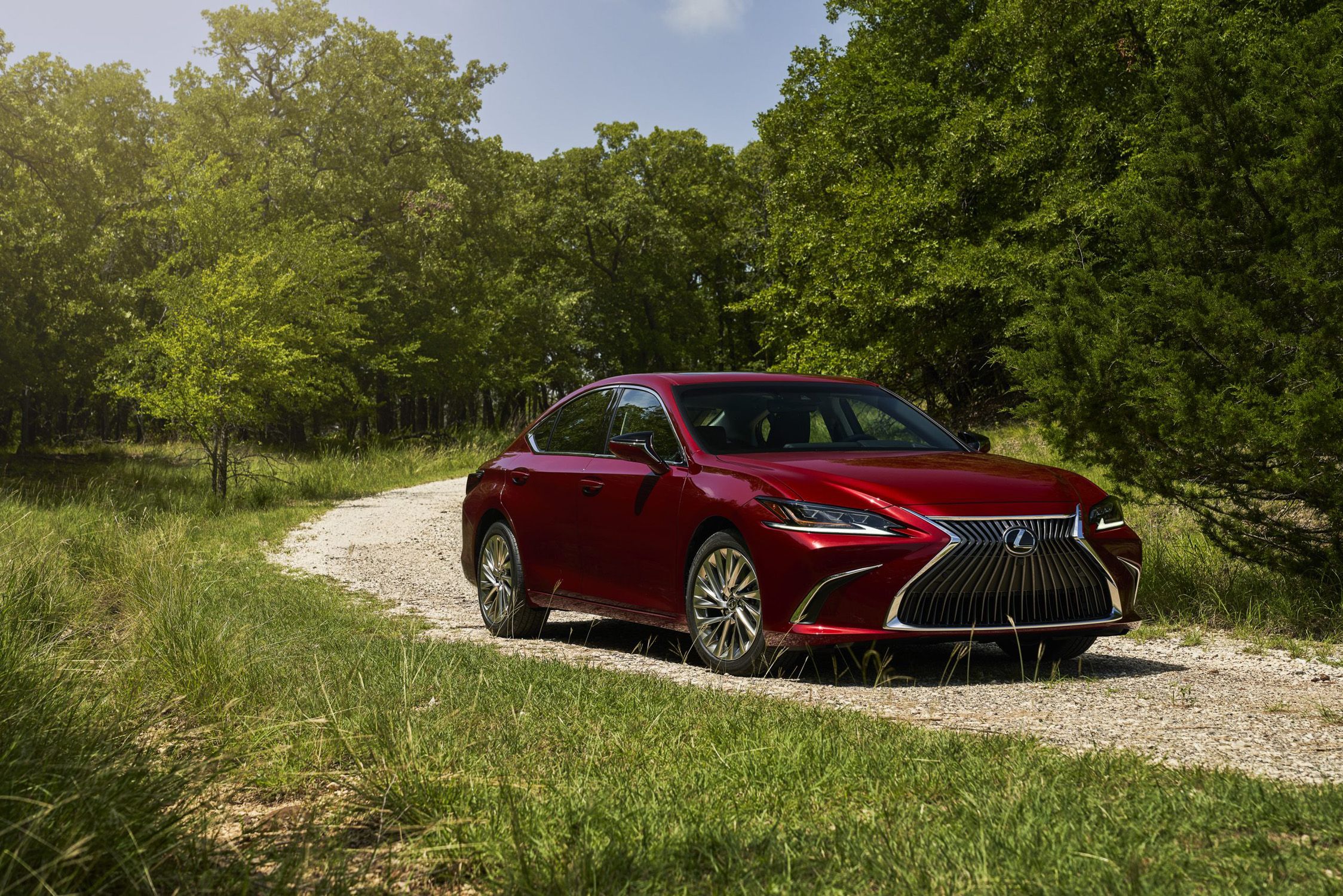 2024 Lexus ES Assessment, Pricing, and Specs Auto24News Your Source