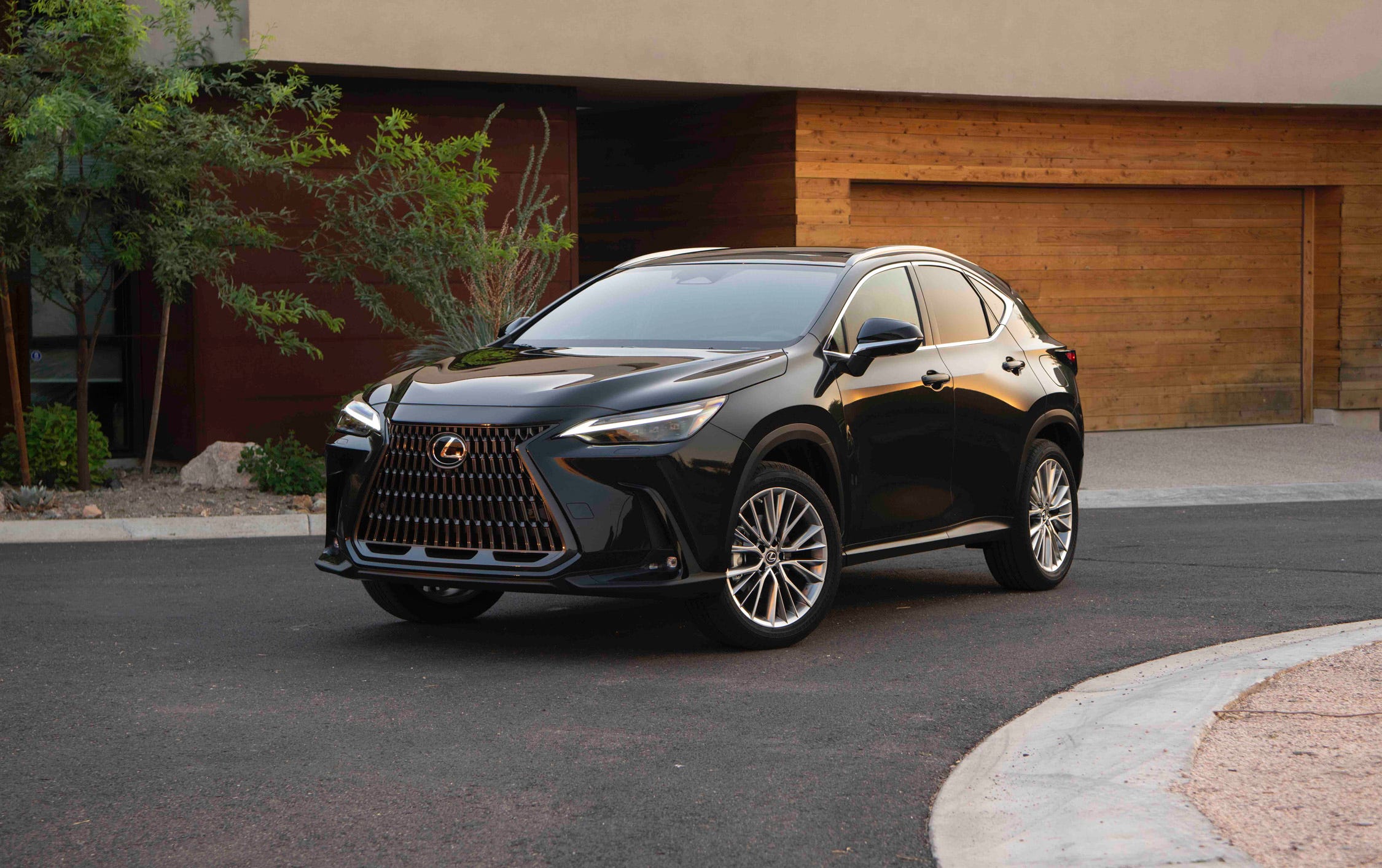 2024 Lexus NX350
