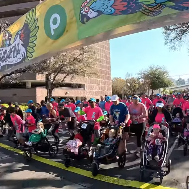 gasparilla distance classic stroller race gasparilla distance classic stroller race