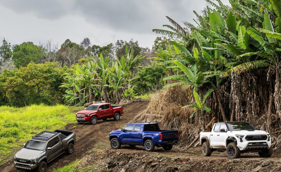2024 Toyota Lineup Has Truck Choices to Please Everyone