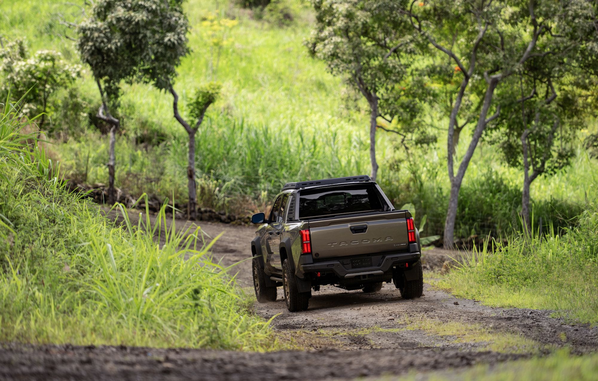 2024 Toyota Tacoma Trailhunter - Full Image Gallery