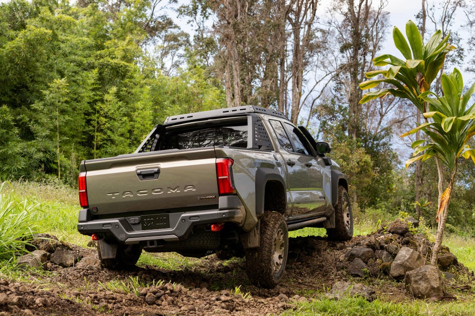 2024 Toyota Lineup Has Truck Choices to Please Everyone