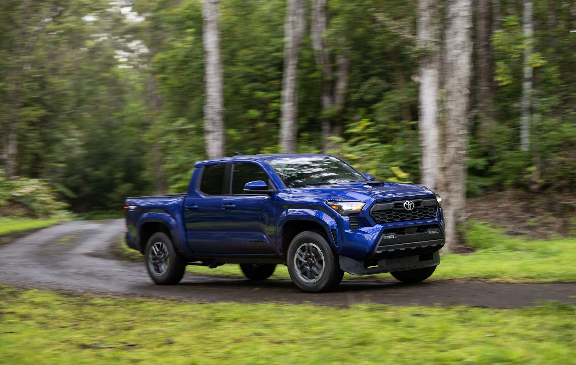 Blue Crush Metallic 2024 Toyota Tacoma Pictures 4th Gen, 53% OFF