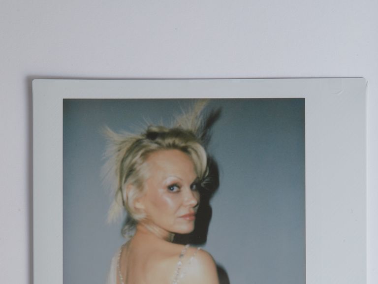 Pamela Anderson - Figure 1