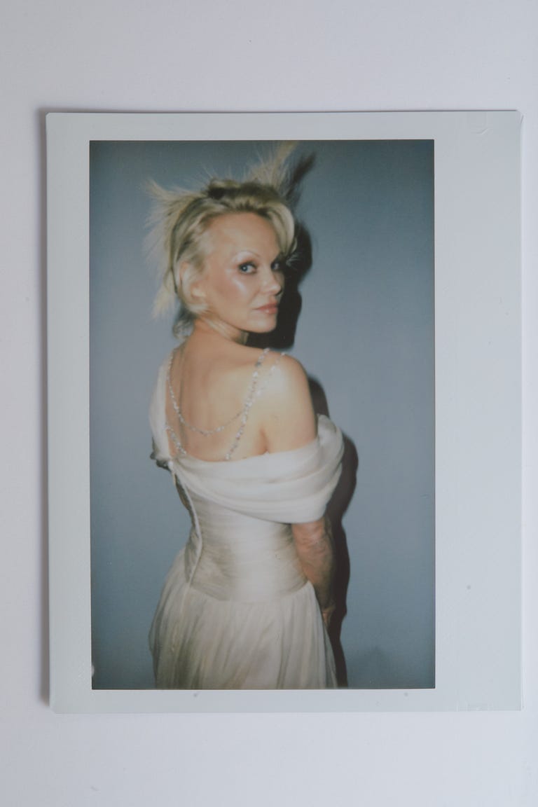 Pamela Anderson - Figure 1