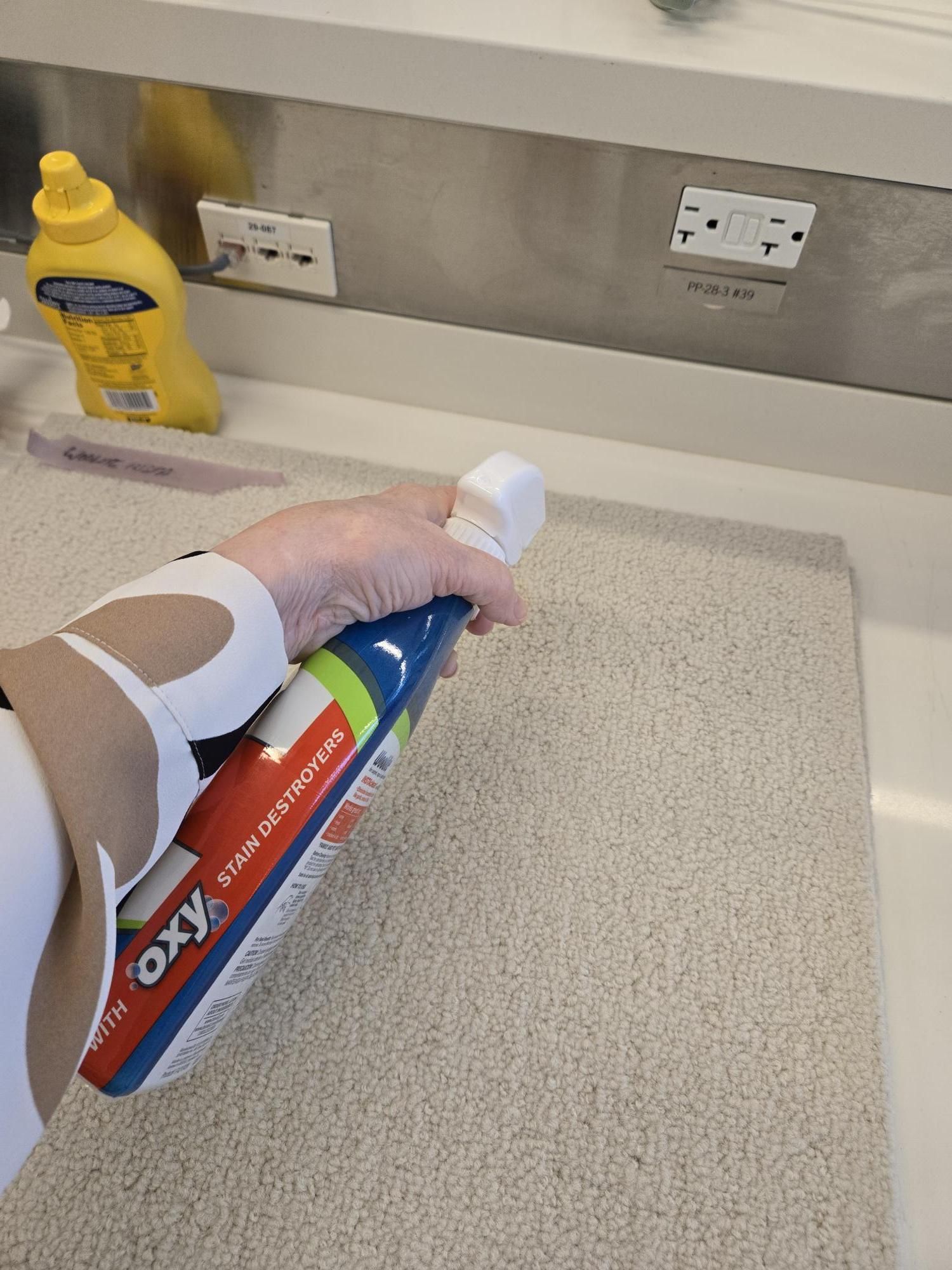 9 Best Carpet Stain Removers of 2024 Tested Reviewed