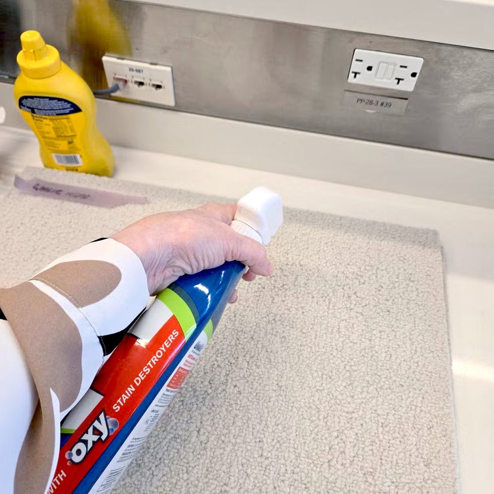 best carpet stain removers spraying a stain remover on a carpet stain