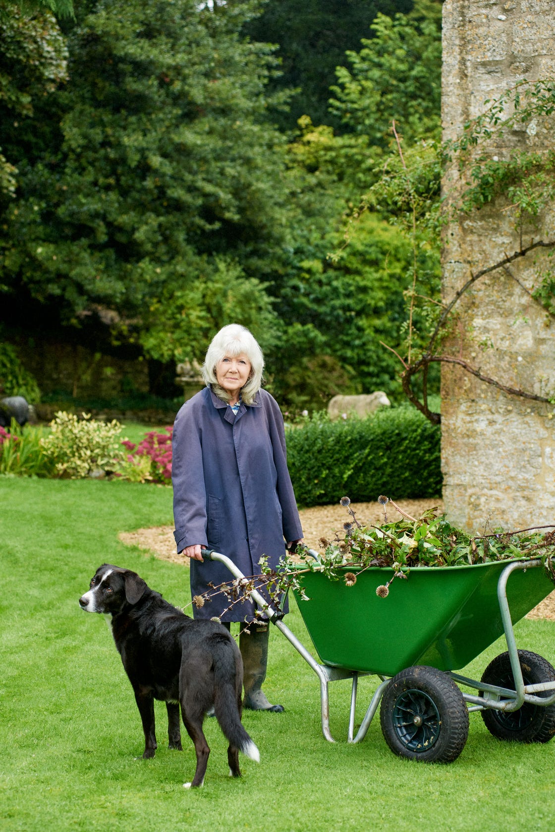 jilly cooper