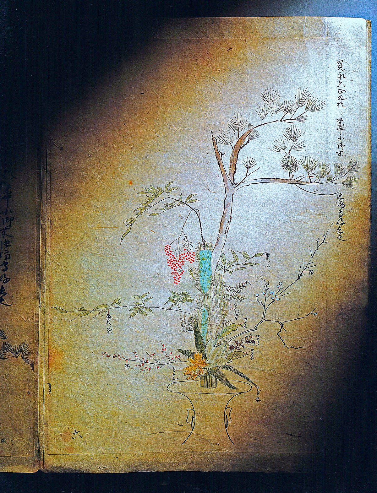 最新人気 1月 家元のいけばな 花伝書にみる「寿ぎの花形」 芸術、美術史