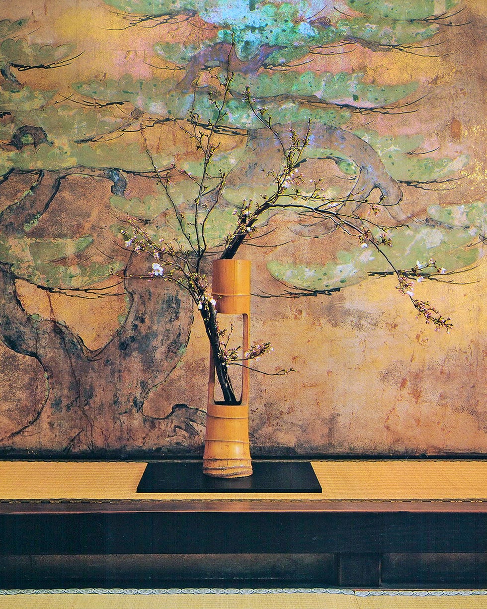 秀吉が作った花見の名所、醍醐寺で「桜」をいける|5月 家元の 秀吉が作った花見の名所、醍醐寺で「桜」をいける|5月 家元の