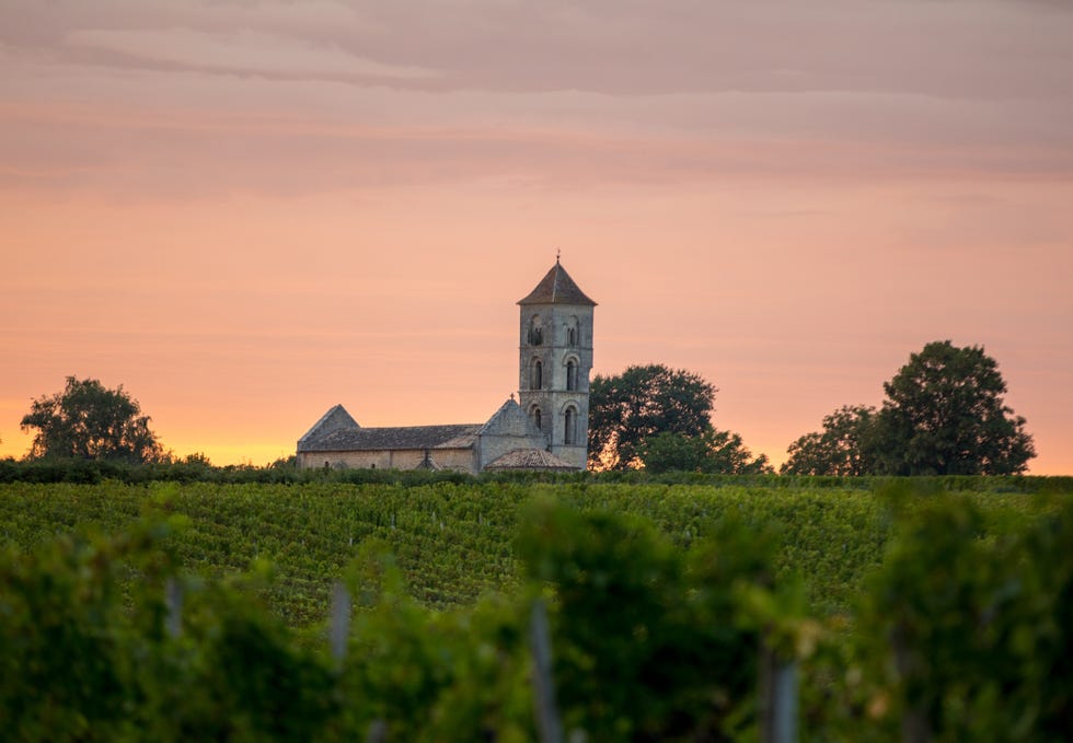 sunset over the vineyards of montagne near saint emilion gironde, aquitaine france