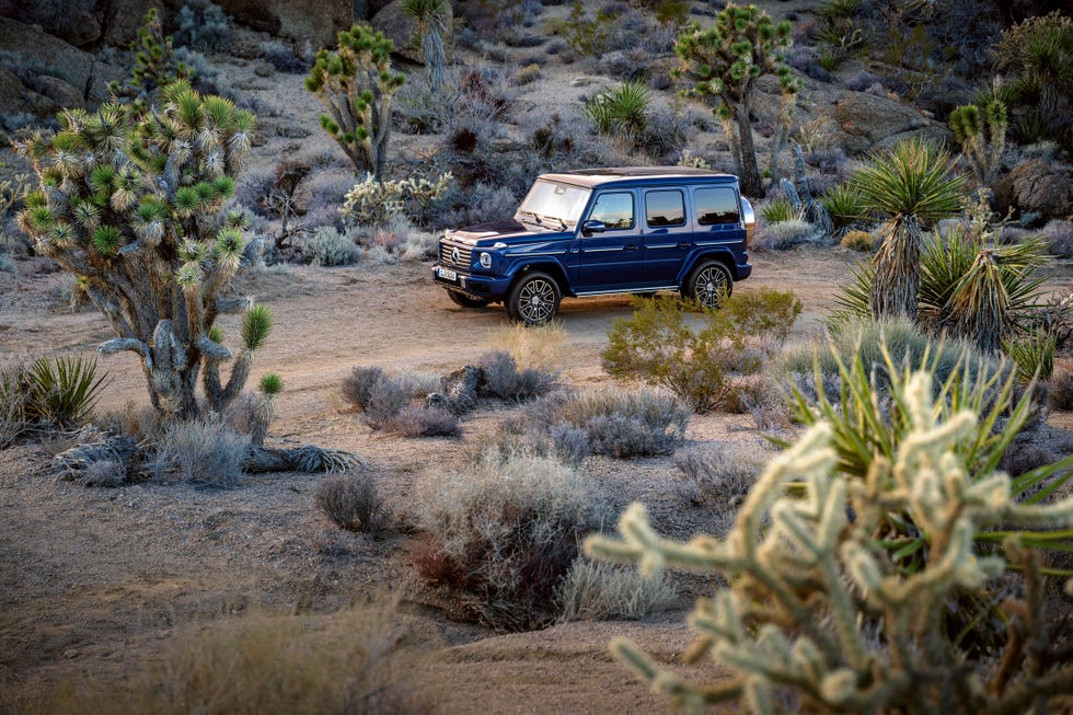 2025 mercedes benz g550