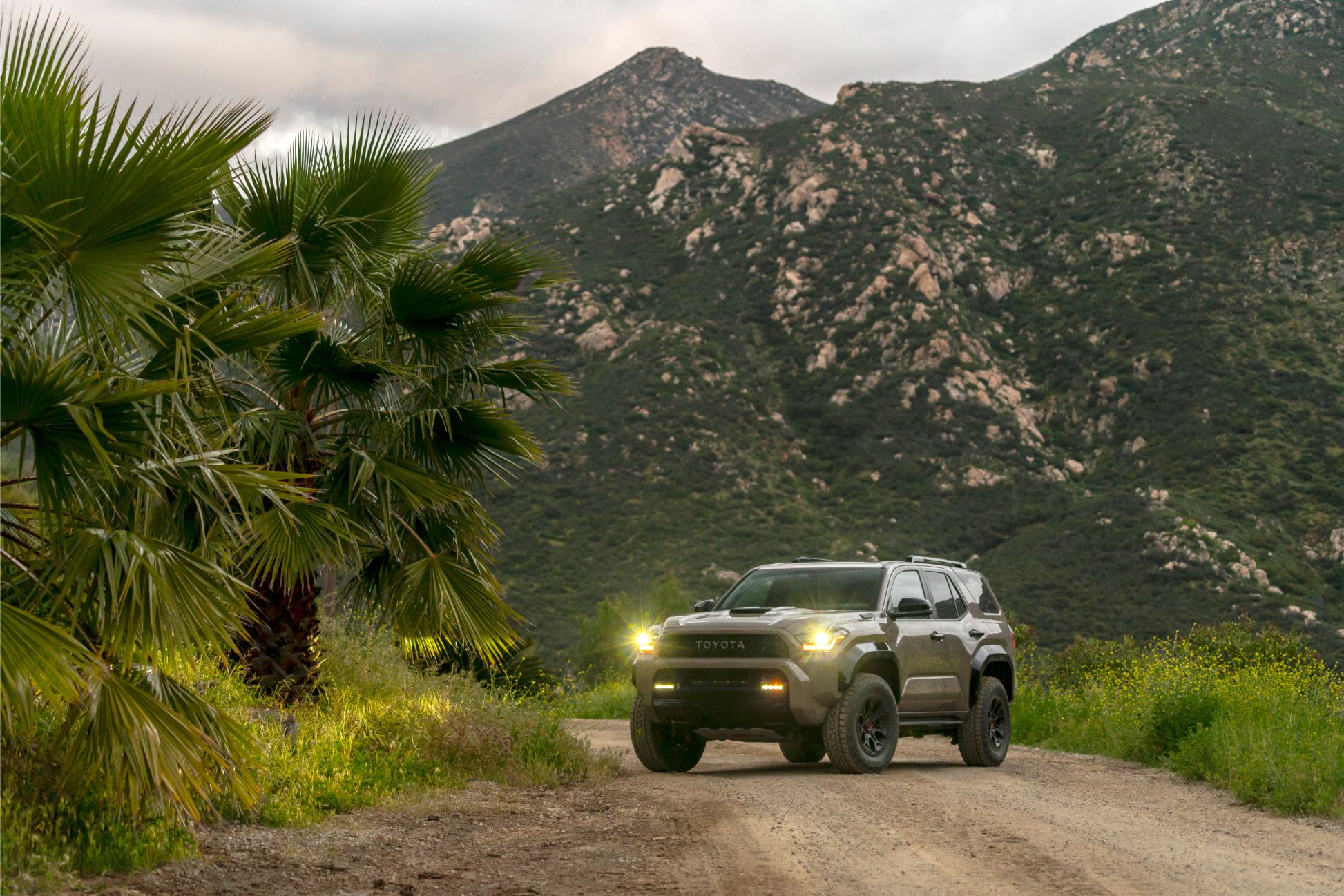 2025 Toyota 4Runner: Everything You Need to Know