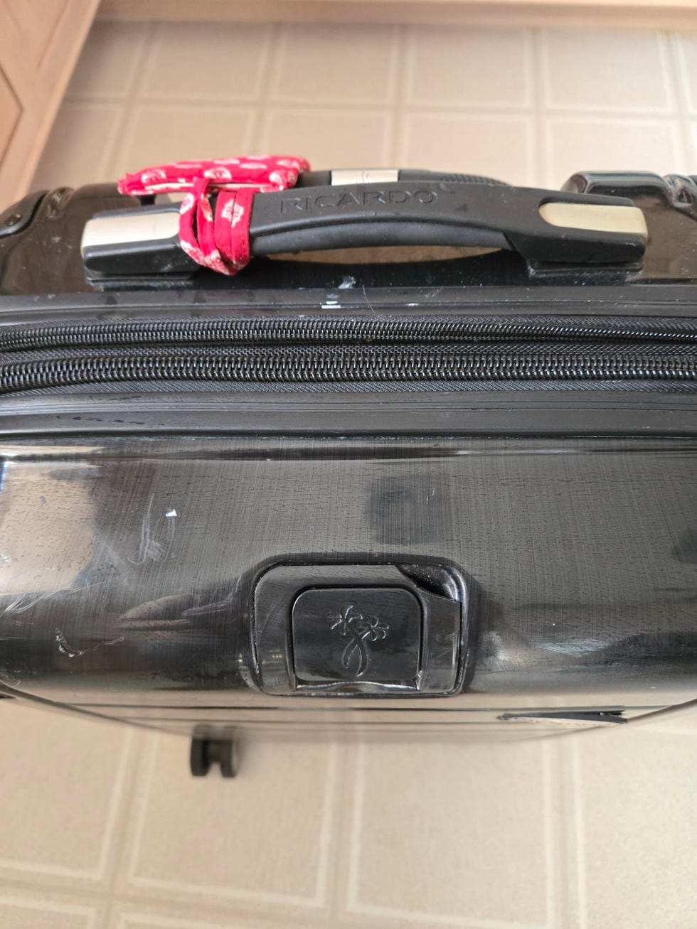 the pink stuff review suitcase after cleaning