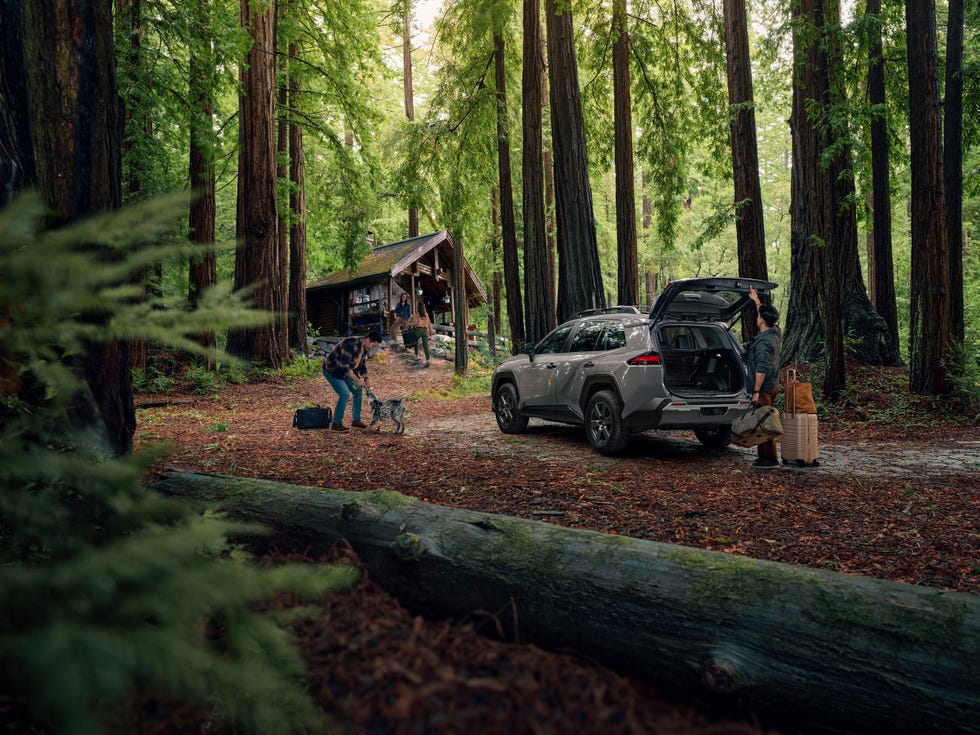 2026 toyota rav4 hybrid woodland