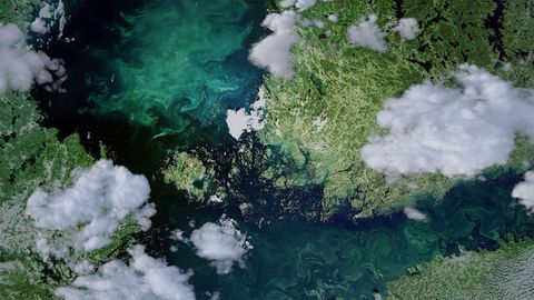 Een weergave van het Finse Seilieiland van bovenaf