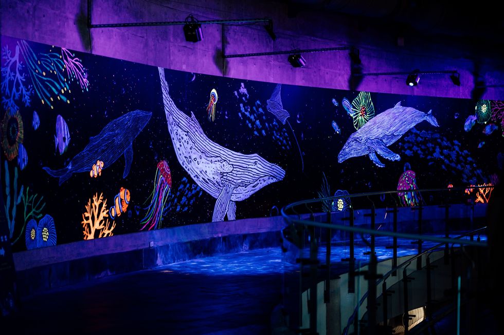 屏東海生館打造「與鯨共舞」光影互動投影牆
