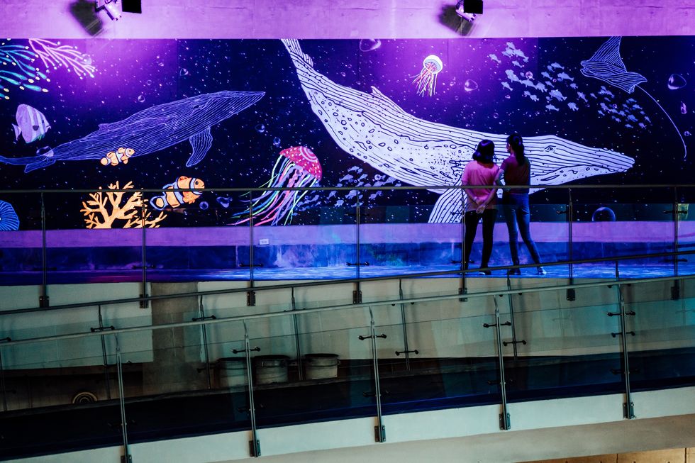 屏東海生館打造「與鯨共舞」光影互動投影牆