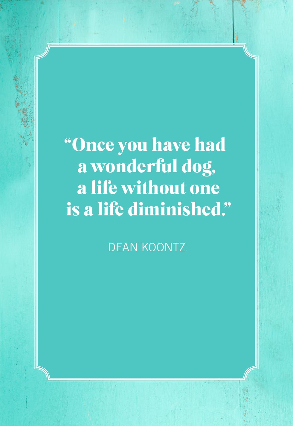 30 Best Dog Quotes - Cute Quotes and Sayings About Dogs