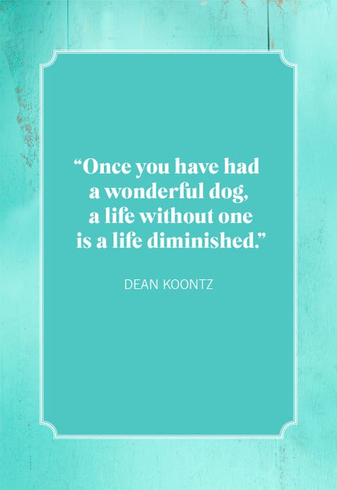 30 Best Dog Quotes - Cute Quotes and Sayings About Dogs