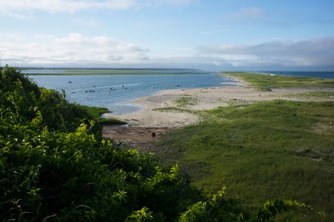 Northeast Canyons and Seamounts Marine Dit zeereservaat dat op zon 240 kilometer voor de zuidelijke Atlantische kust van New England ligt werd op 15 september 2016 door president Obama Het park beslaat 12700 vierkante kilometer zeegebied grotendeels op het continentaal plat en omvat uitgedoofde onderzeese vulkanen en onderzeese kloven die dieper zijn dan de Grand Canyon De canyonwanden zijn bedekt met diepzeekoraal anemonen en sponzen Beschermd worden hier onder andere de Kemps zeeschildpad de potvis de gewone vinvis en de Noordse vinvis