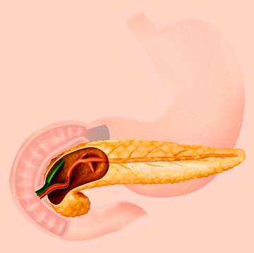 anatomische beeld van alvleesklier