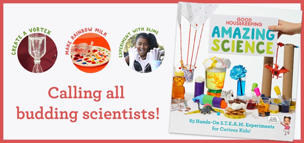 amazing science kids book