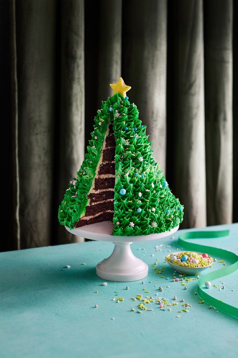 52 Best Christmas Cake Recipes - Easy Christmas Cake Ideas