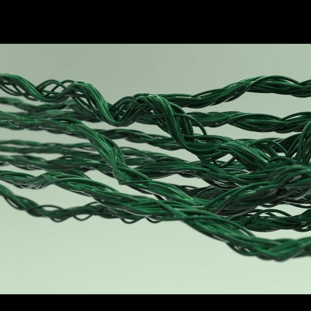 Green, Grass, Rope, Textile, Thread, Plant, 