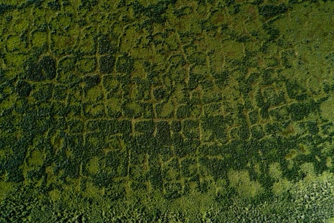 Deze rechthoekige structuren in het landschap ontstaan door het jaarlijks bevriezen en ontdooien van ijsrichels die direct onder het aardoppervlak liggen Ze zijn hier vanuit de lucht te zien in de buurt van het Noordoostelijk Onderzoeksstation in het Russische Tsjerski
